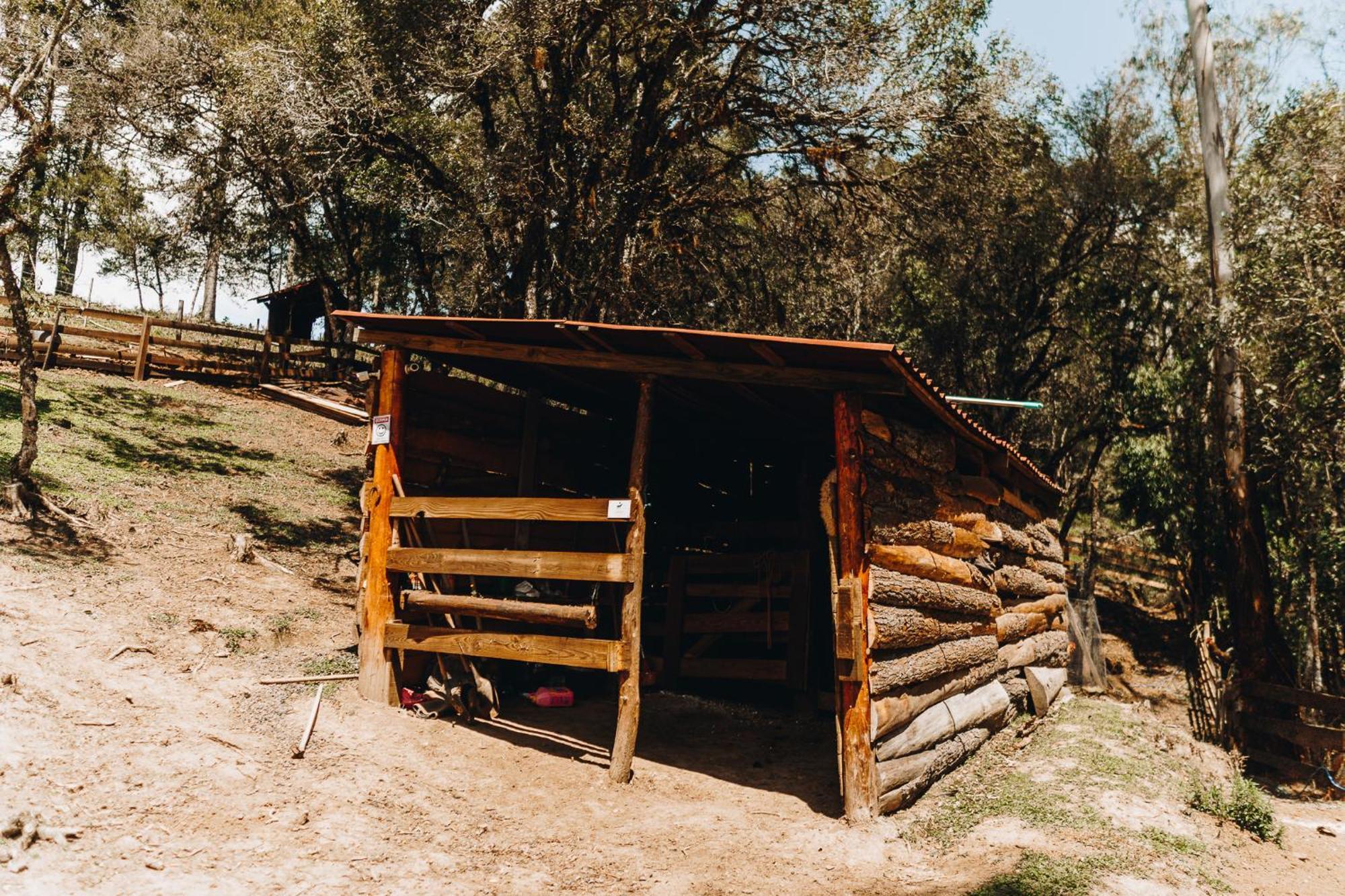 Chale Harmonia Da Floresta- Pousada Cachoeira Da Neve Urubici Dış mekan fotoğraf